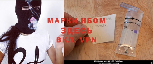 прущие грибы Вяземский