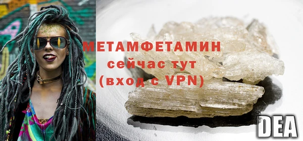 прущие грибы Вяземский